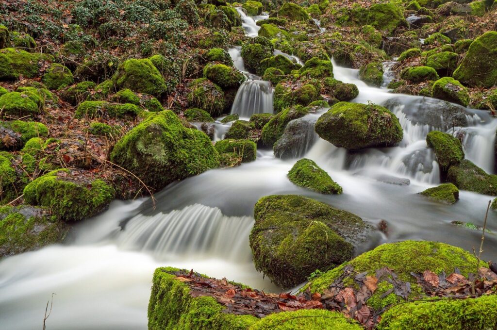 Nachhaltige Geldanlage