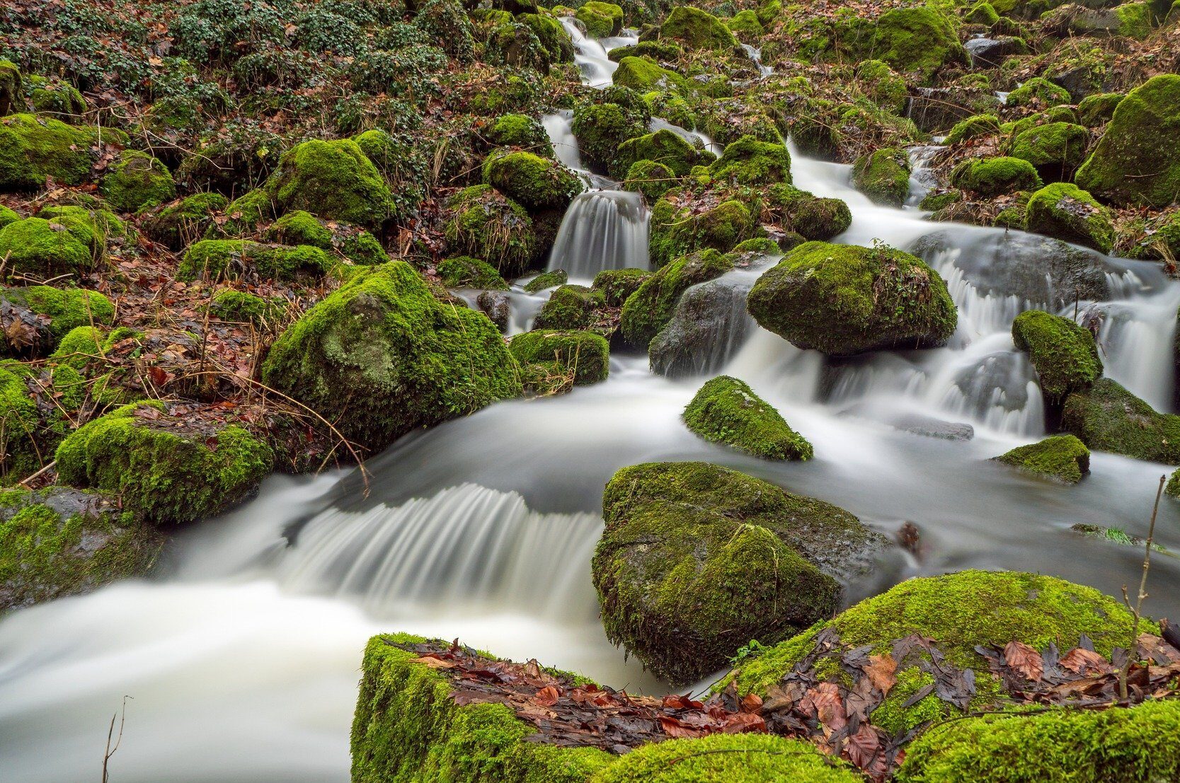 30. August 2024, Wirtschaftswoche | Auszeichnung unseres RW Portfolio Strategie UI