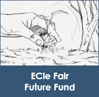 ECie Fair Future Fund